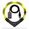 Leuchtie Premium Easy Charge LED Dog Collar Yellow